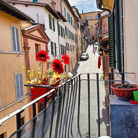 La Campanina-Nel Cuore Di Siena E Della Contrada Kültér fotó